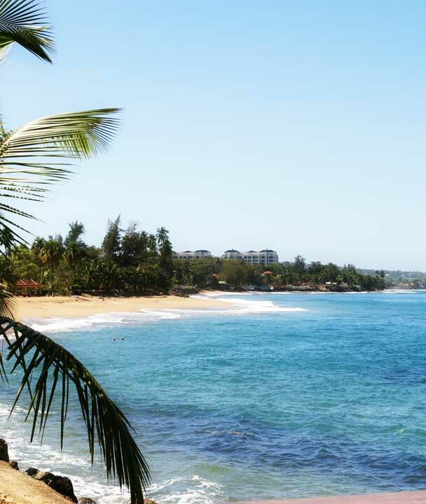 Surfing in Puerto Rico, beach and waves framed by a couple of palm trees