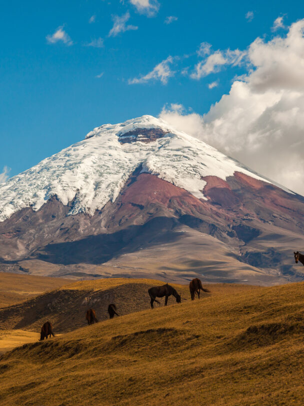 Mountain climber in Cotopaxi descending into a sea of clouds and Antisana volcano in the background, Andes Ecuador