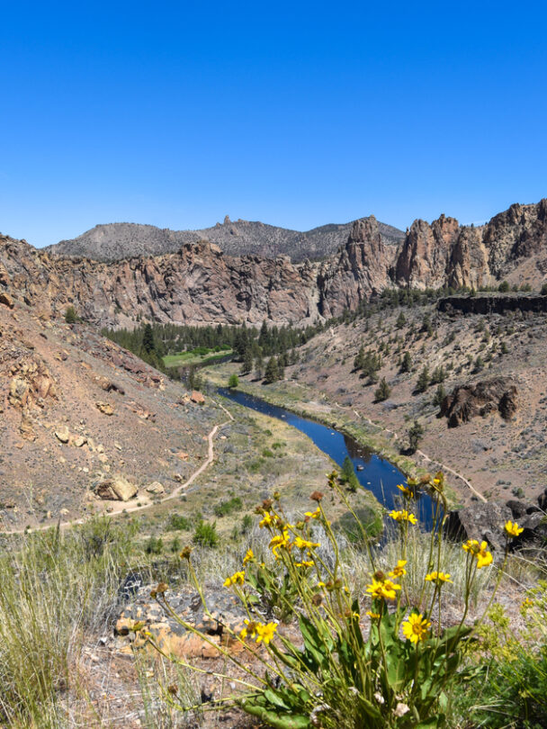 A woman nears the top of a spire at Smith Rock State Park, Oregon. The Crooked River is far below in the valley.