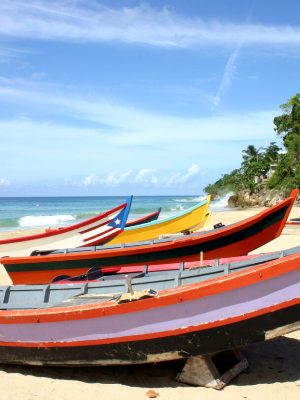 Surfing in Puerto Rico, beach and waves framed by a couple of palm trees