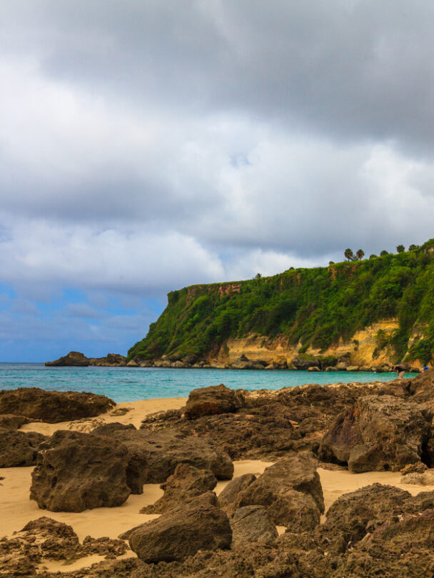 Surfing in Puerto Rico, beach and waves framed by a couple of palm trees