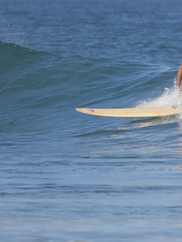Surfing in Puerto Rico, beach and waves framed by a couple of palm trees