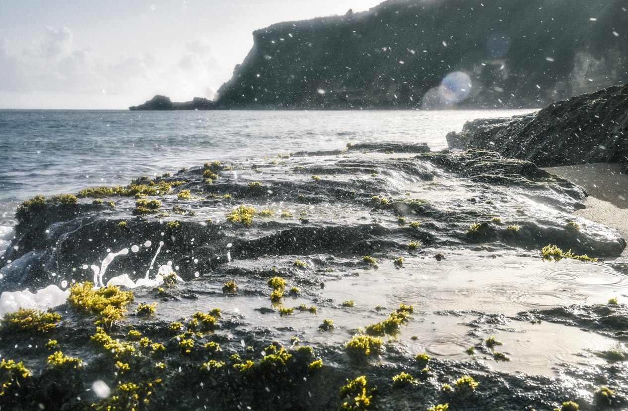 Wilderness Beach, Puerto Rico at sunrise.