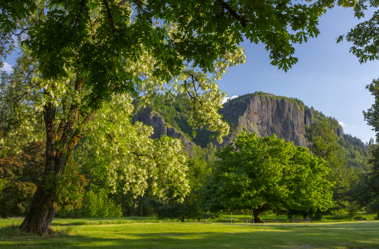 Springtime in the Columbia River Gorge at Rooster Rock State Park.