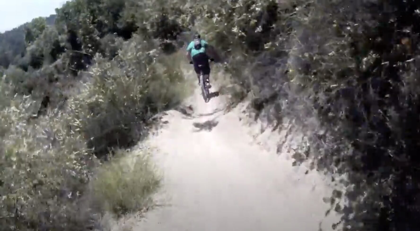 santa cruz MTB video