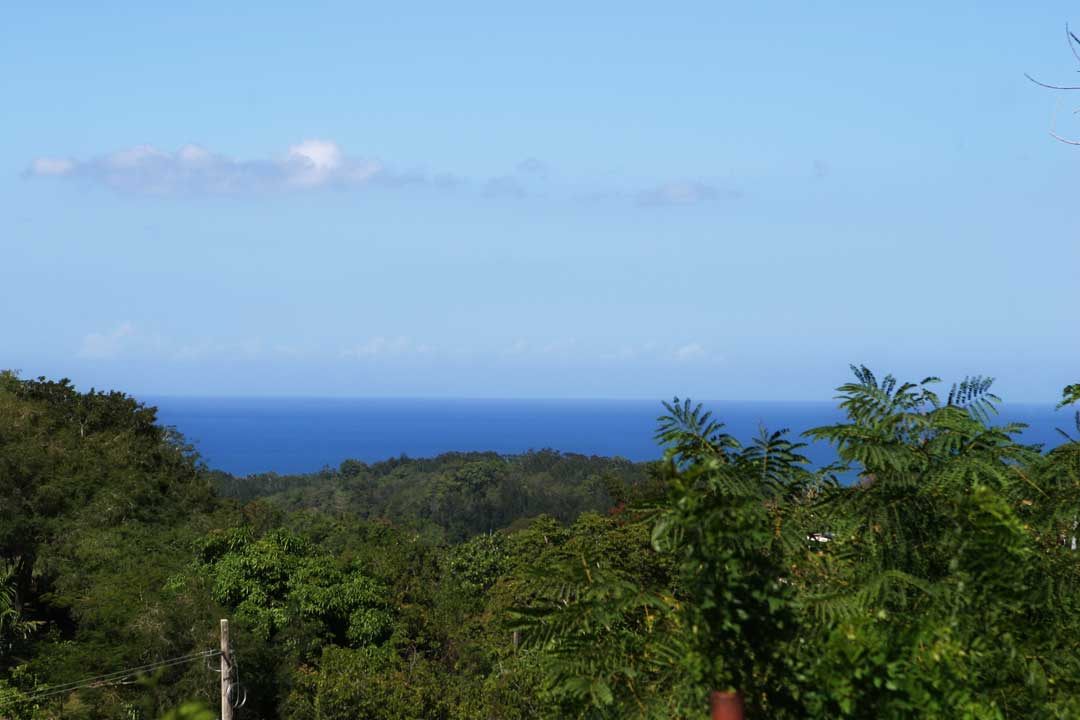 View from the house where you'll be staying in