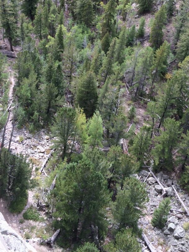 Rock Climbing in Aspen