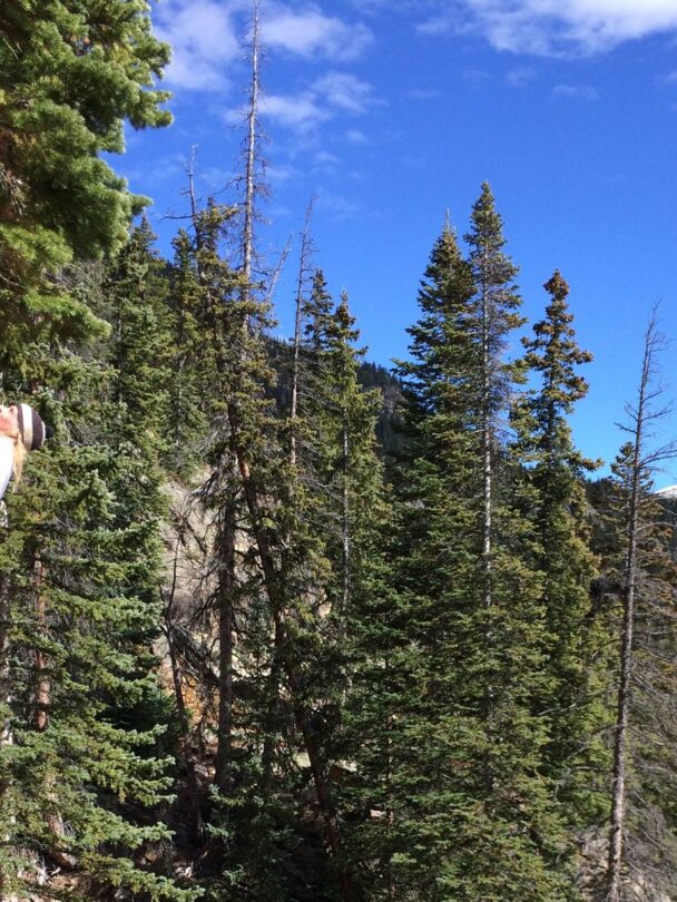 Rock Climbing in Aspen