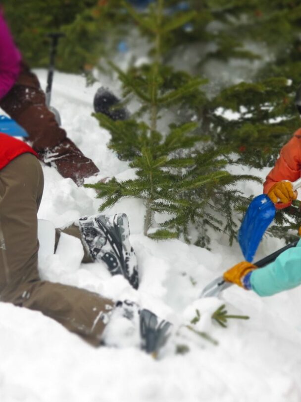 Guided hands-on experience