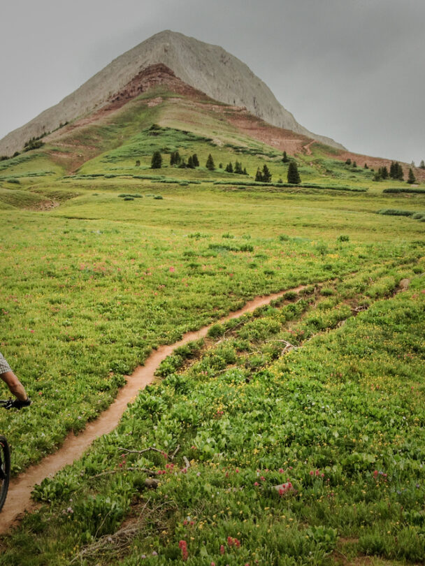 "mountain biker man on singletrack path surrounded by green mountain meadow while riding the colorado trail near molas pass in the san juan mountains above durango, colorado, usa. horizontal composition."
