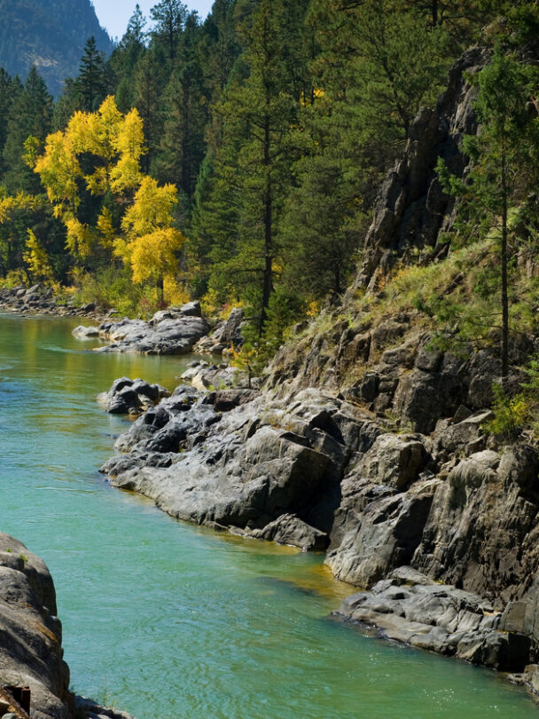 "mountain biker man on singletrack path surrounded by green mountain meadow while riding the colorado trail near molas pass in the san juan mountains above durango, colorado, usa. horizontal composition."