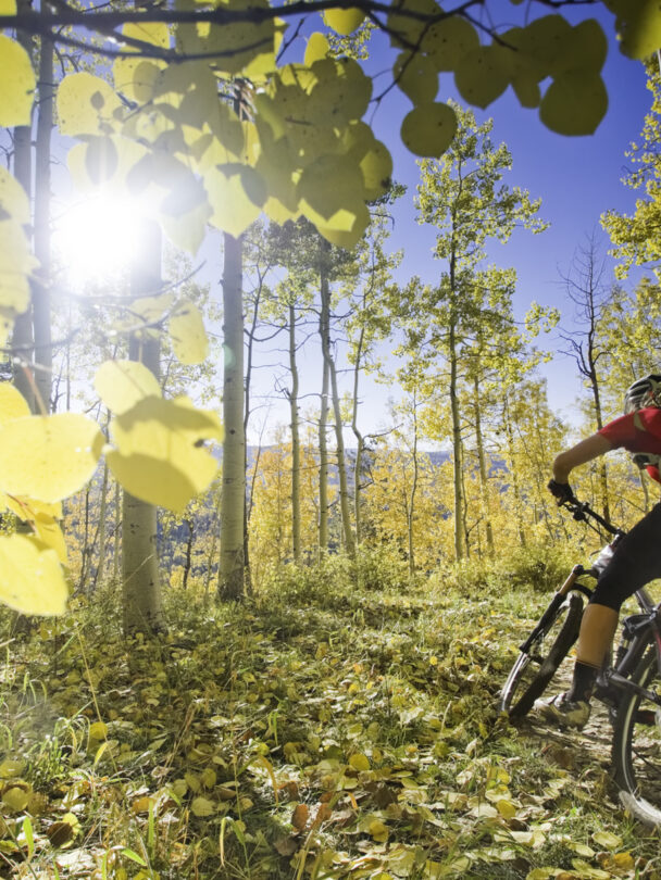 "mountain biker man on singletrack path surrounded by green mountain meadow while riding the colorado trail near molas pass in the san juan mountains above durango, colorado, usa. horizontal composition."