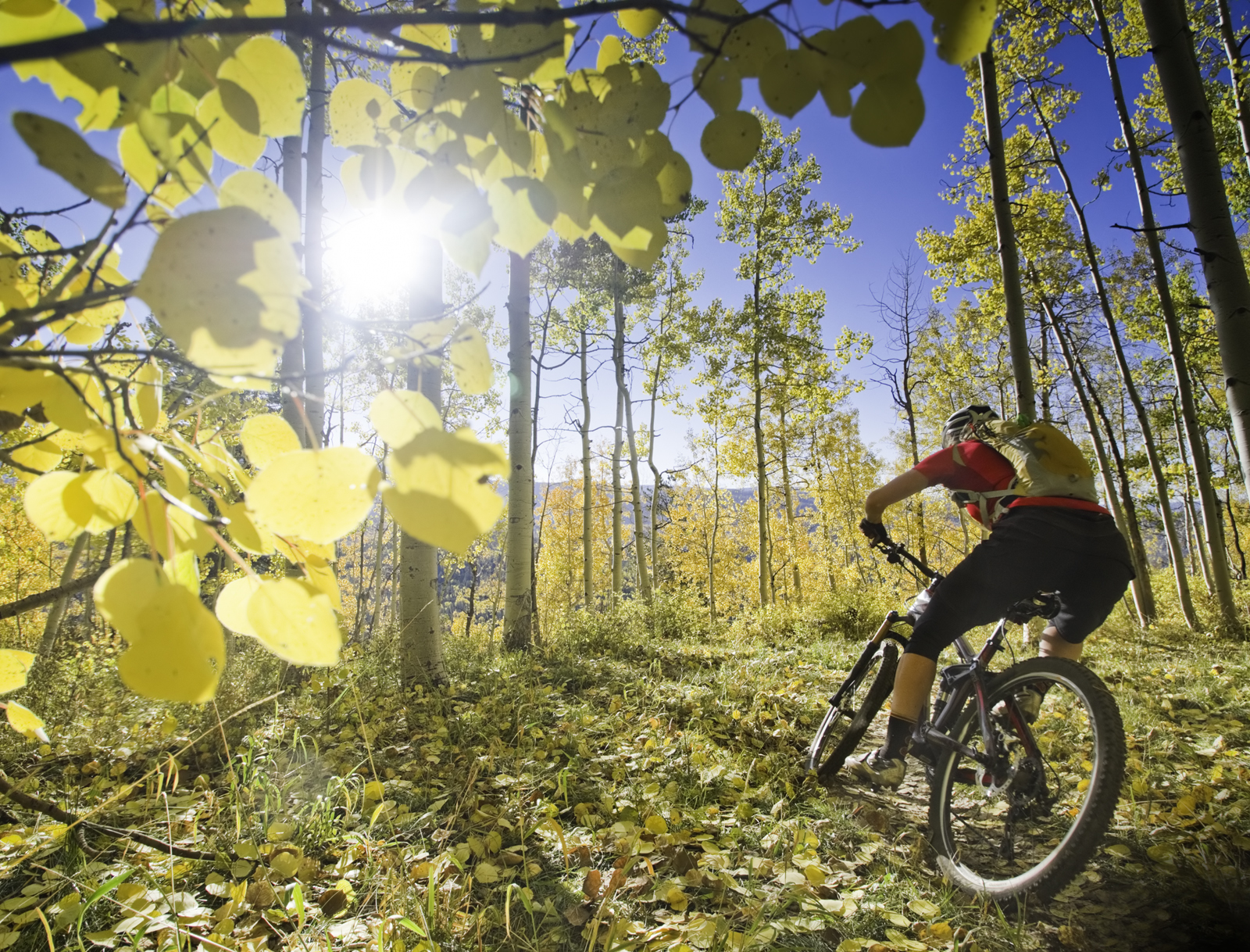 Mountain biking in Durango