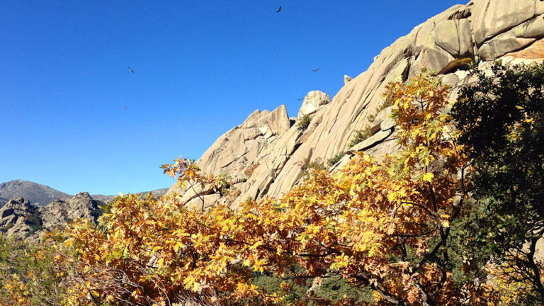 Sunny day and rocks in La Pedriza