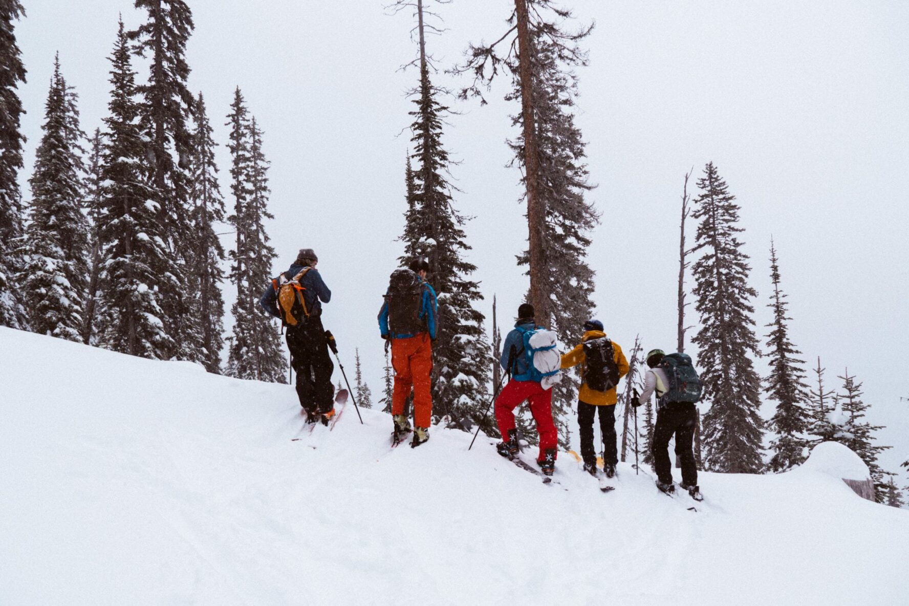 Skinning up the snowy hill in Whitefish