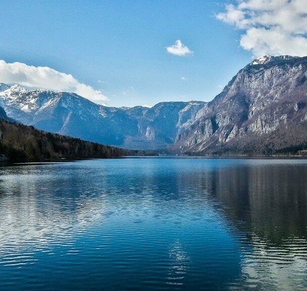 A person enjoying the panoramic views over lake Bled
