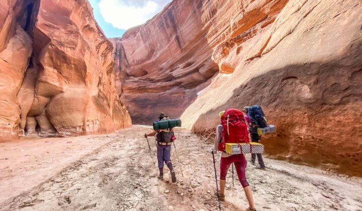 Walking deep inside the slot canyon it’s easy to feel connected to our long geologic past.