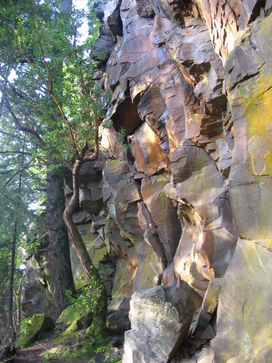 The Madrone Wall was opened to the public after a 20 year effort, unveiling a wide range of features and excellent climbing