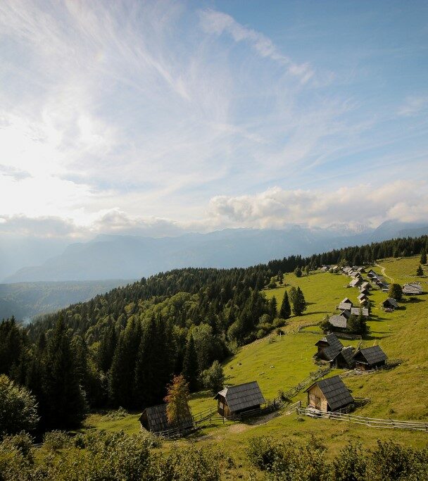 A person enjoying the panoramic views over lake Bled