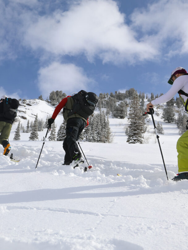 Skiers learning about the avalanche
