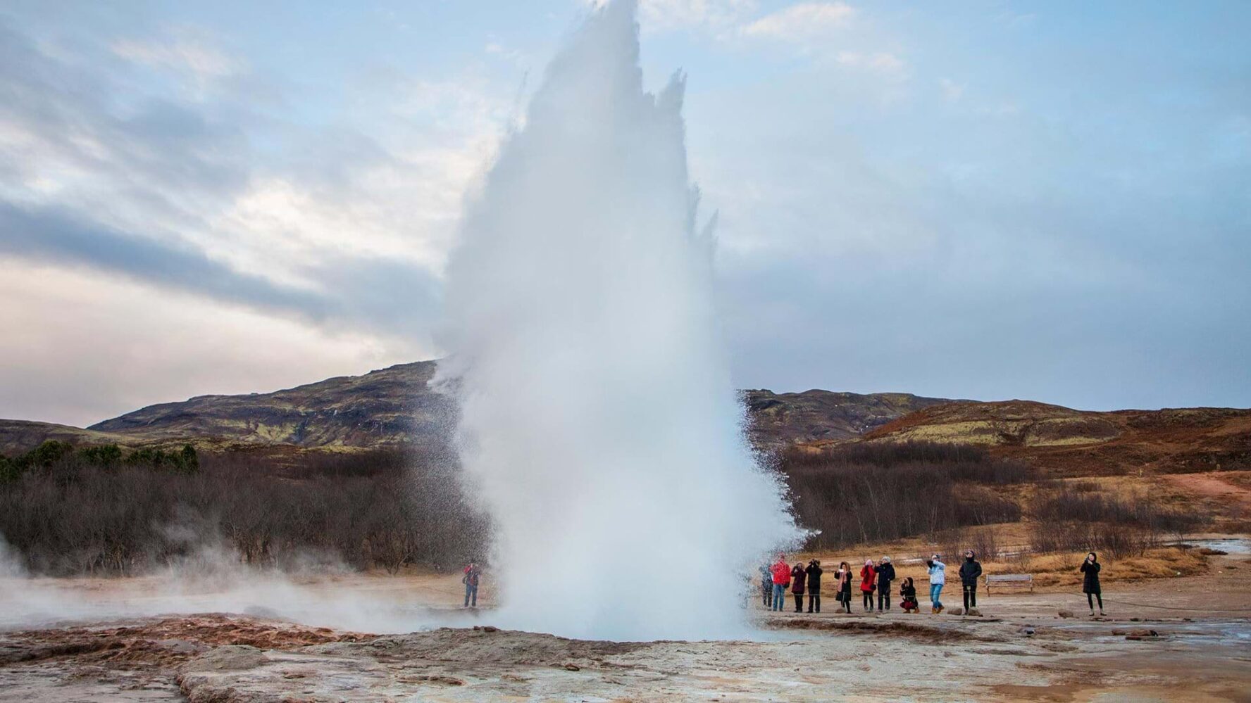 A geyser in Iceland