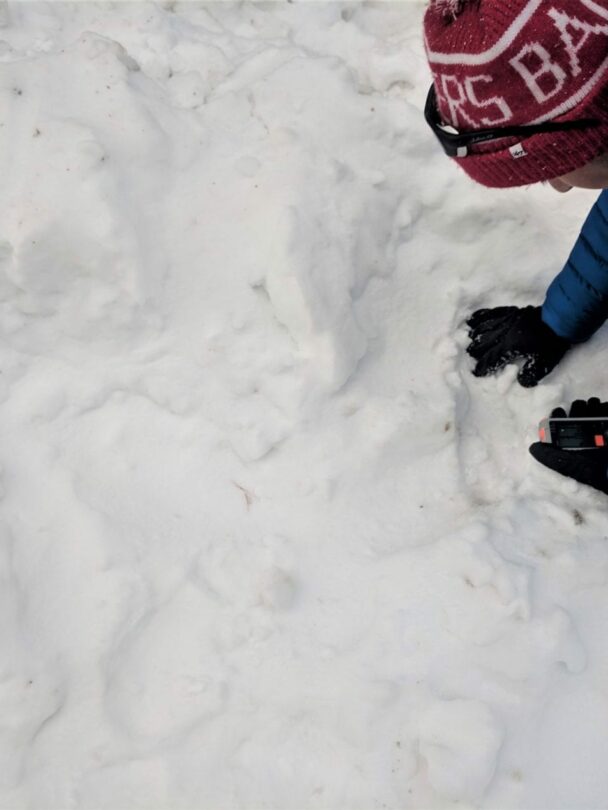 Participants practicing avalanche rescue