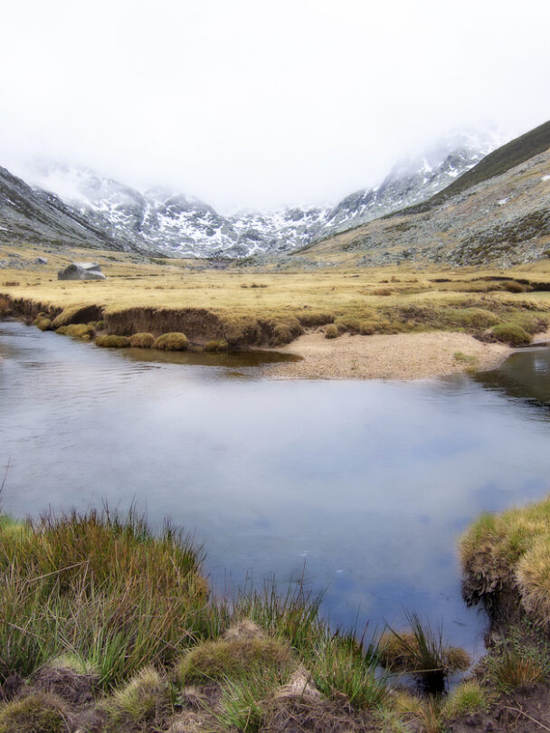 A group of hikers enjoying the sun