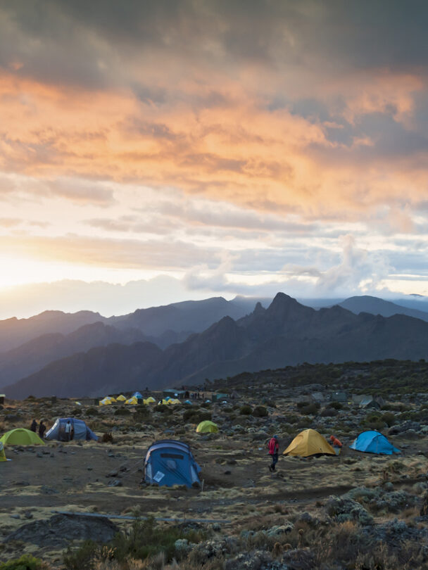 Above the clouds on Kilimanjaro