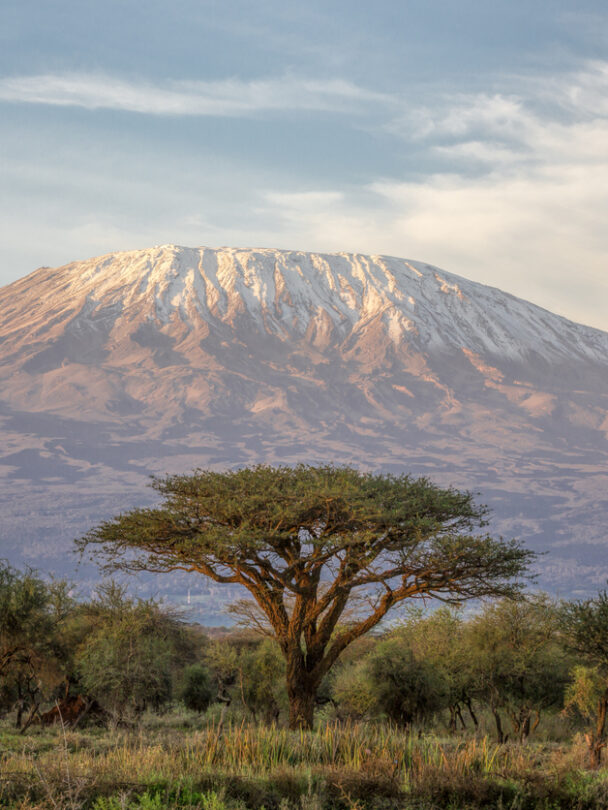 Above the clouds on Kilimanjaro