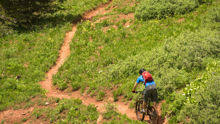 "mountain biker man on singletrack path surrounded by green mountain meadow while riding the colorado trail near molas pass in the san juan mountains above durango, colorado, usa. horizontal composition."