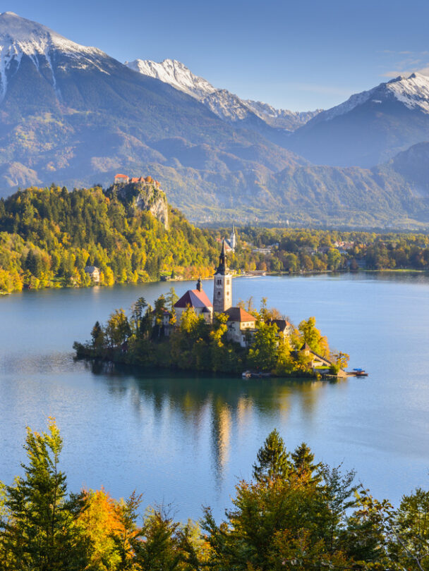A person enjoying the panoramic views over lake Bled