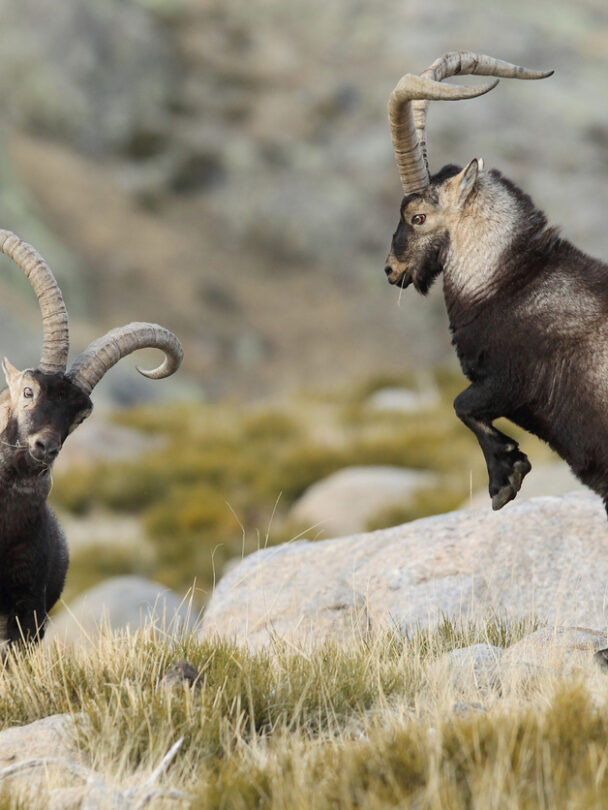 A group of hikers enjoying the sun