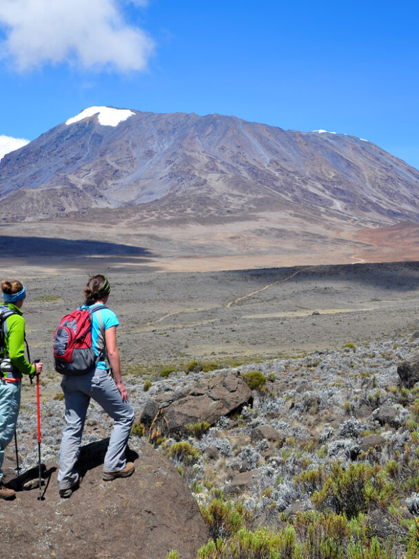 Above the clouds on Kilimanjaro