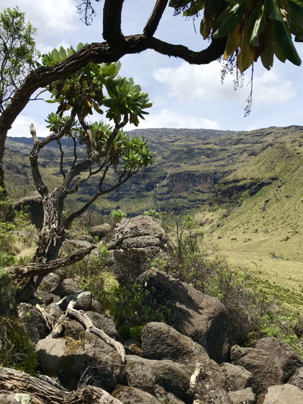 River crossing along the Chogoria trail