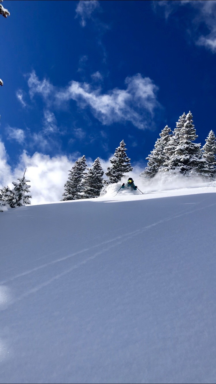 Skiing through the powder of Telluride
