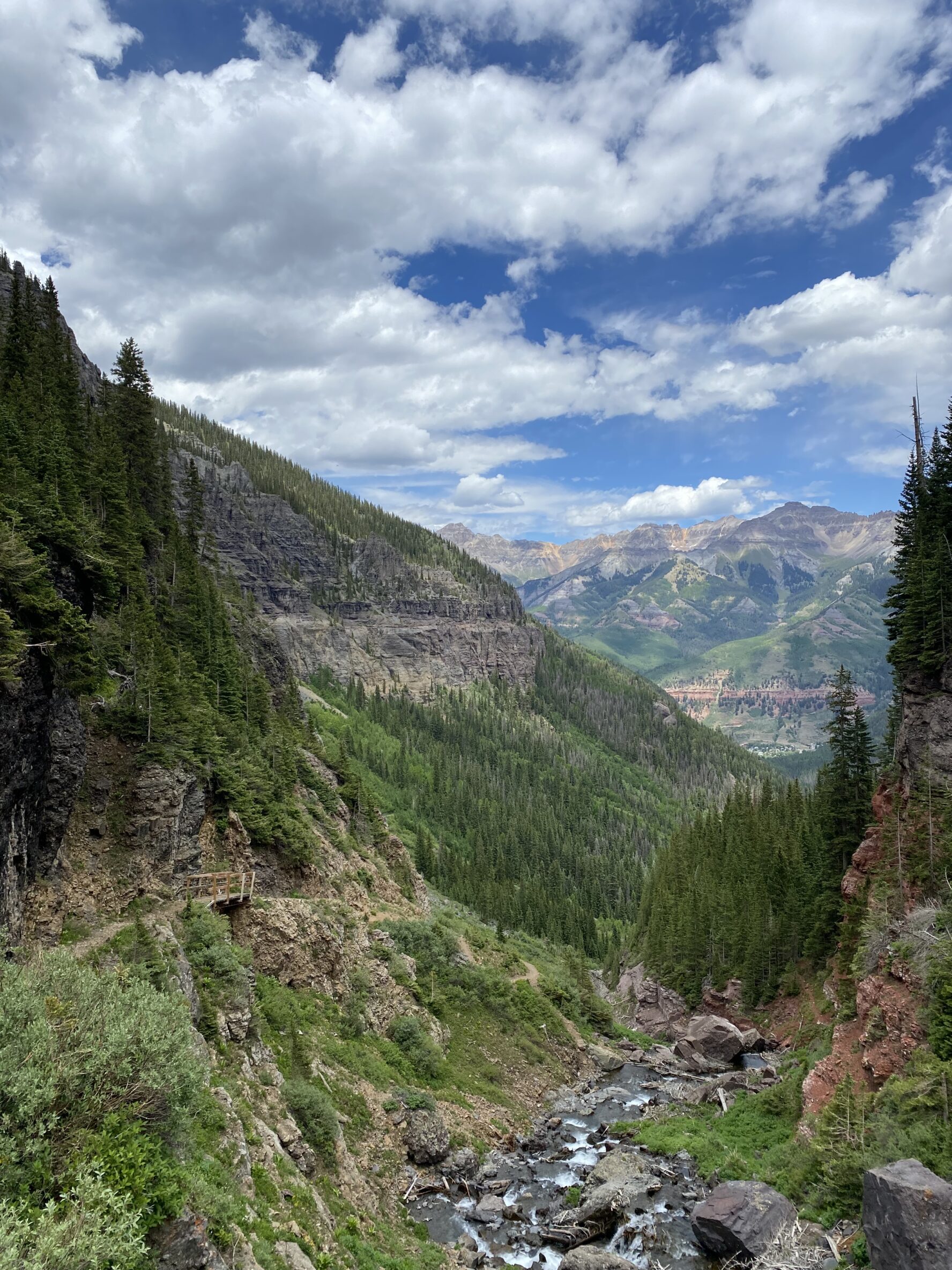 A gorge and some trees in Telluride