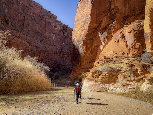 Paria Canyon Backpacking