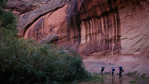 Paria Canyon Backpacking