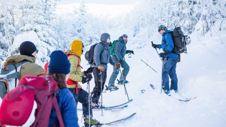 AIARE Level 1 Course in New Hampshire
