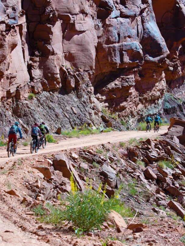 Mountain Biking in Amasa Back/Ahab
