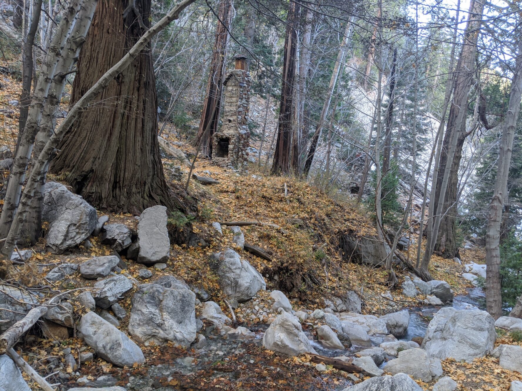 The ruins of a cabin in Ice House Canyon during the fall