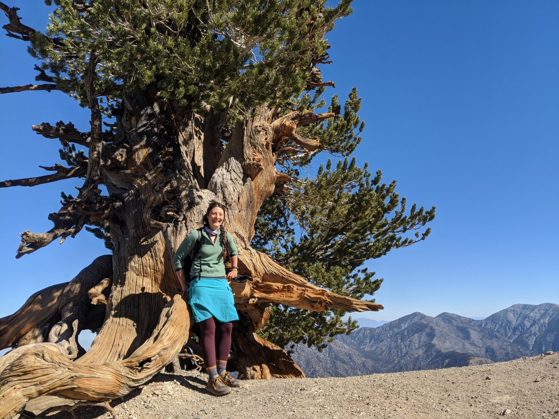 Liz Thomas at the Wally Waldron tree, a 1,500 year old limber pine