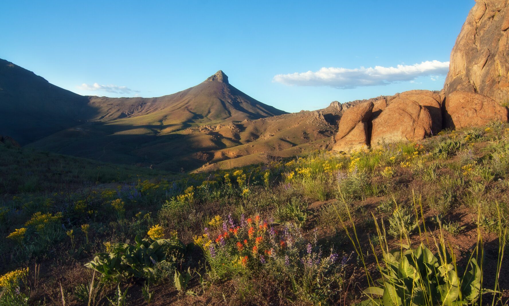 The Trout Creek Mountains are a remote, semi-arid range comprising over 800 square miles