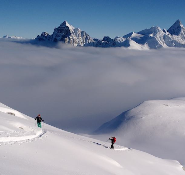 Snowy meadows around Canadian Rockies