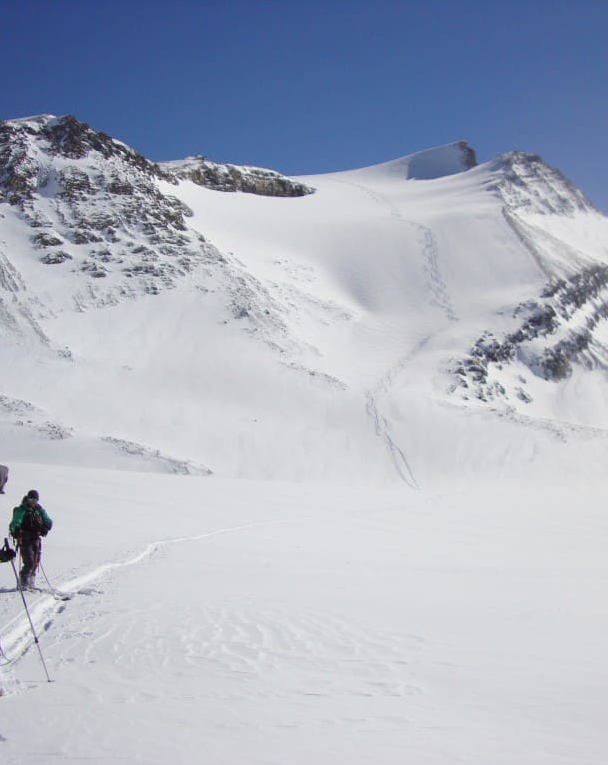 Snowy meadows around Canadian Rockies