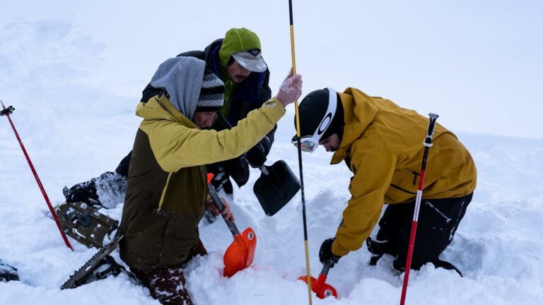 AST Level 1 Avalanche Course in Banff