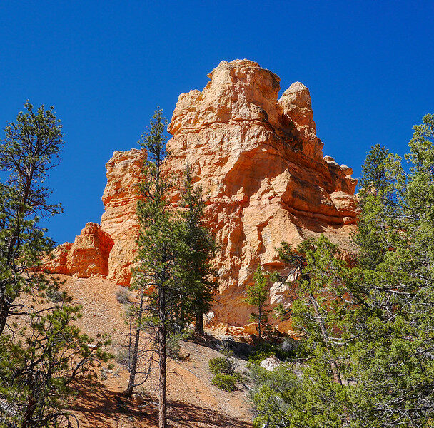 Guided mountain biking on Bryce Canyon