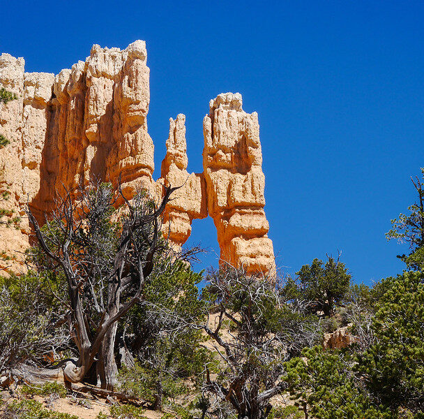 Guided hiking in Bryce Canyon National Park
