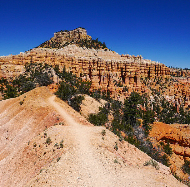 Guided mountain biking on Bryce Canyon