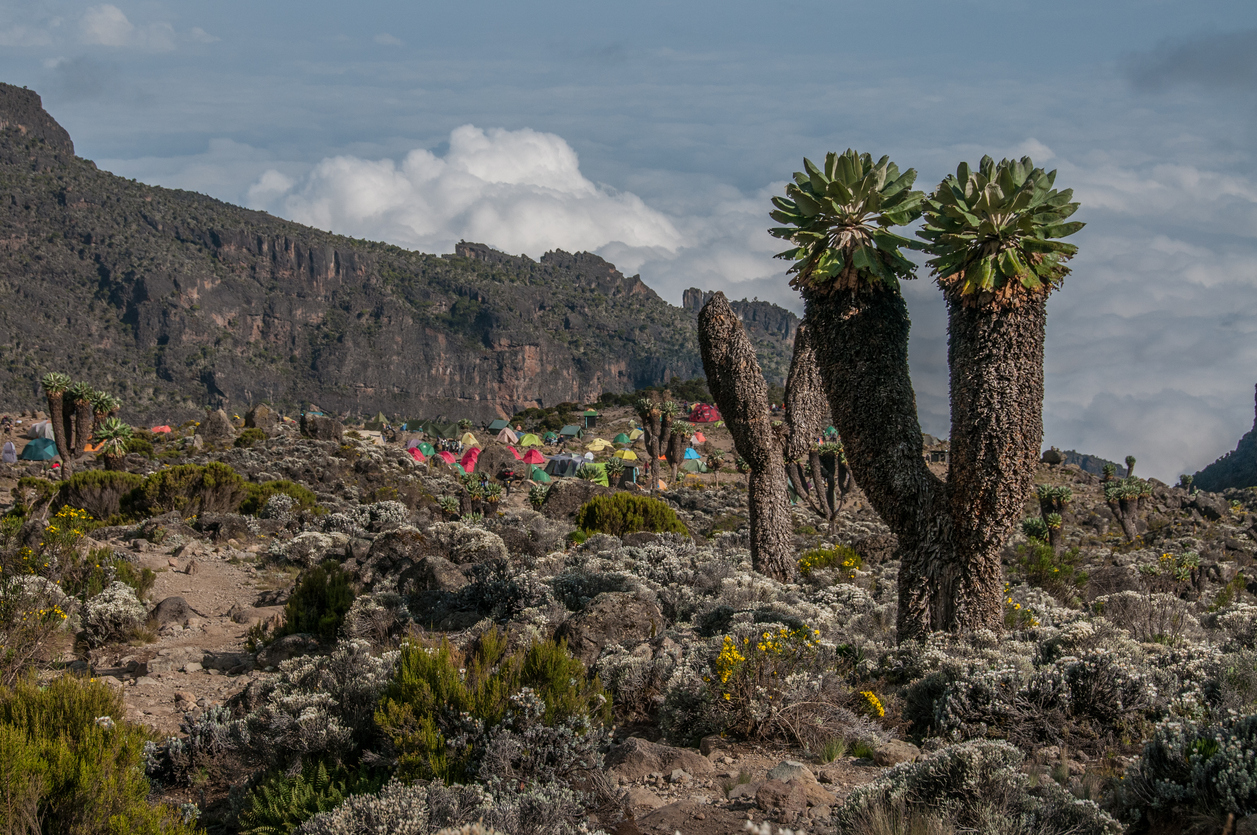 Camping in the Barranco camp.